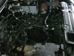 IMG00020-20110126-1610.jpg