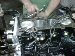 IMG00016-20110126-1539.jpg