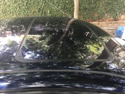 12.jpg (233.81 KiB) Visualizado 1393 vezes 12.jpg