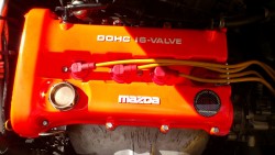 DSC_0489 - Copy.JPG