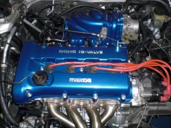 CIMG5909.jpg